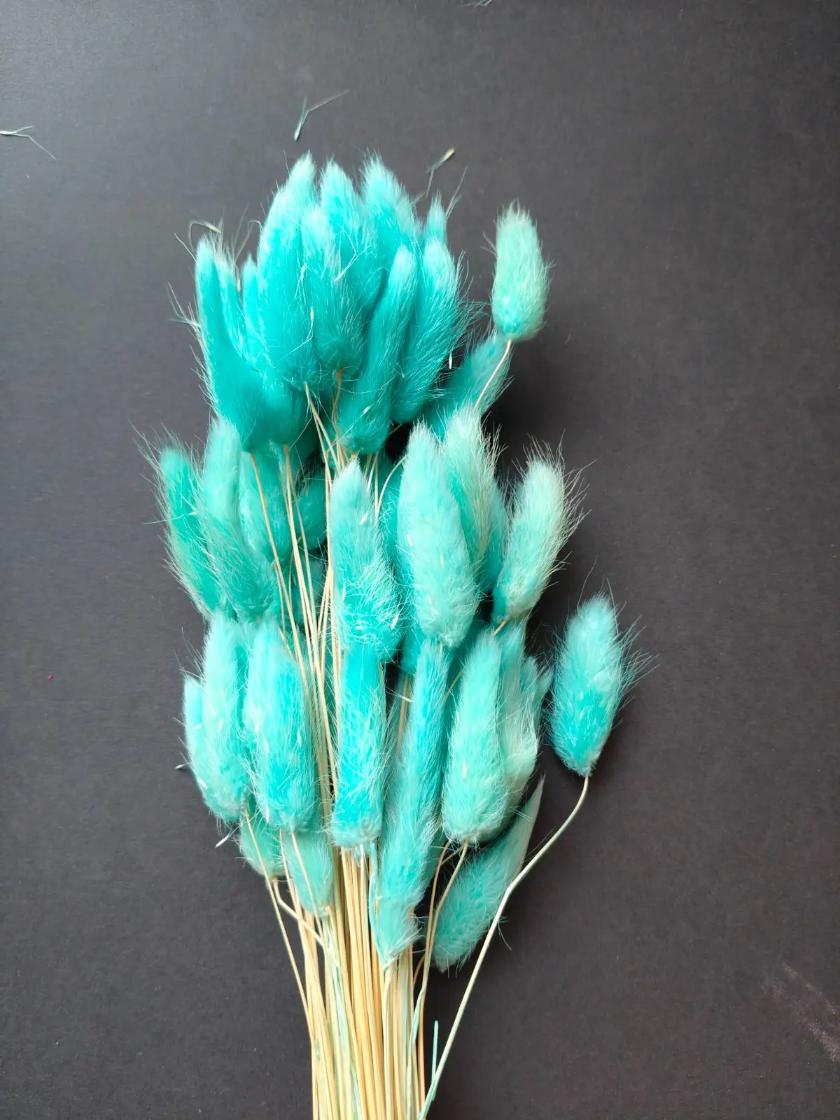Bunny Tails (10pcs Pack)