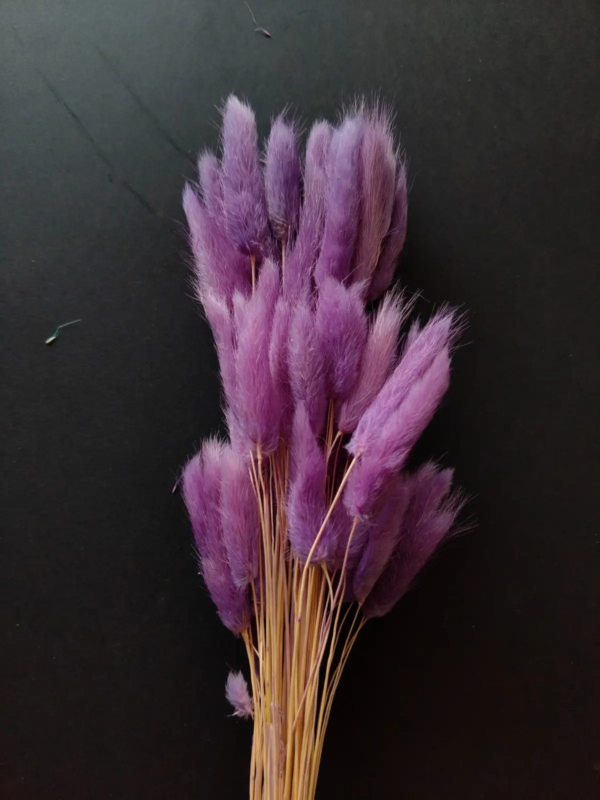 Bunny Tails (10pcs Pack)