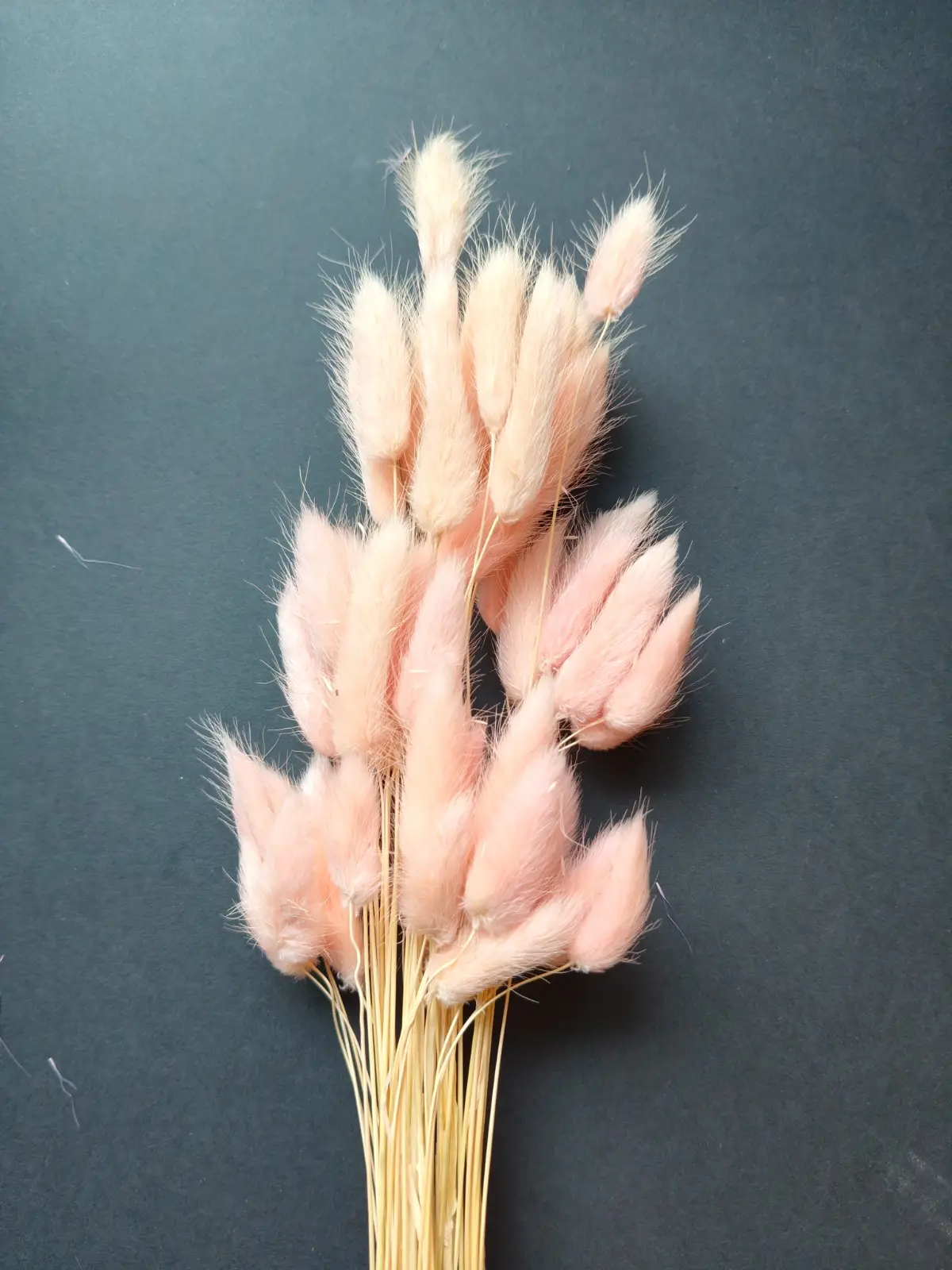 Bunny Tails (10pcs Pack)