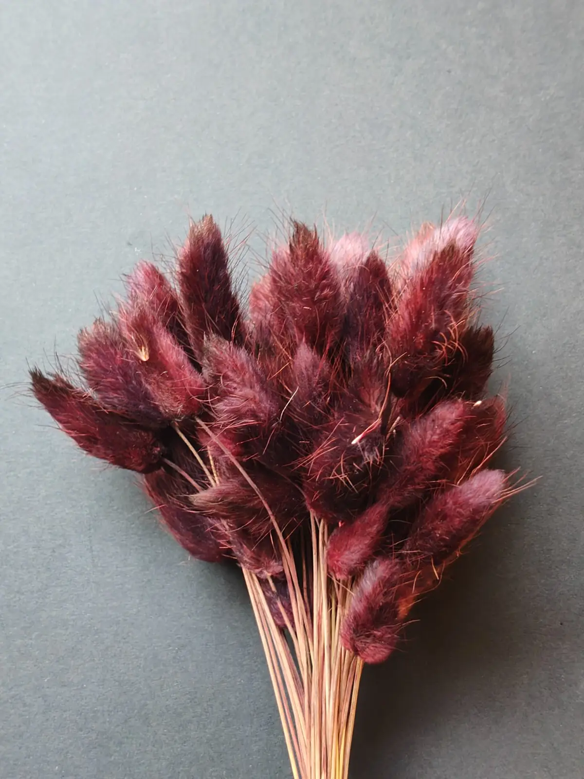 Bunny Tails (10pcs Pack)