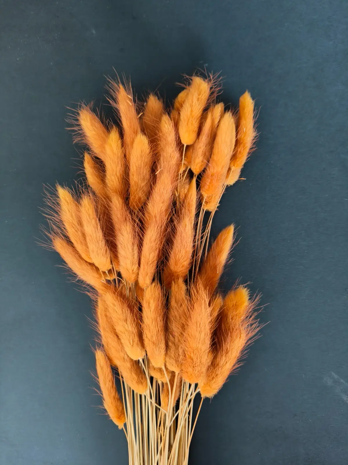 Bunny Tails (10pcs Pack)