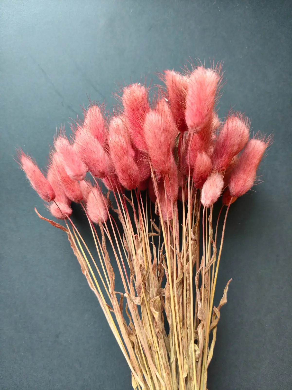 Bunny Tails (10pcs Pack)