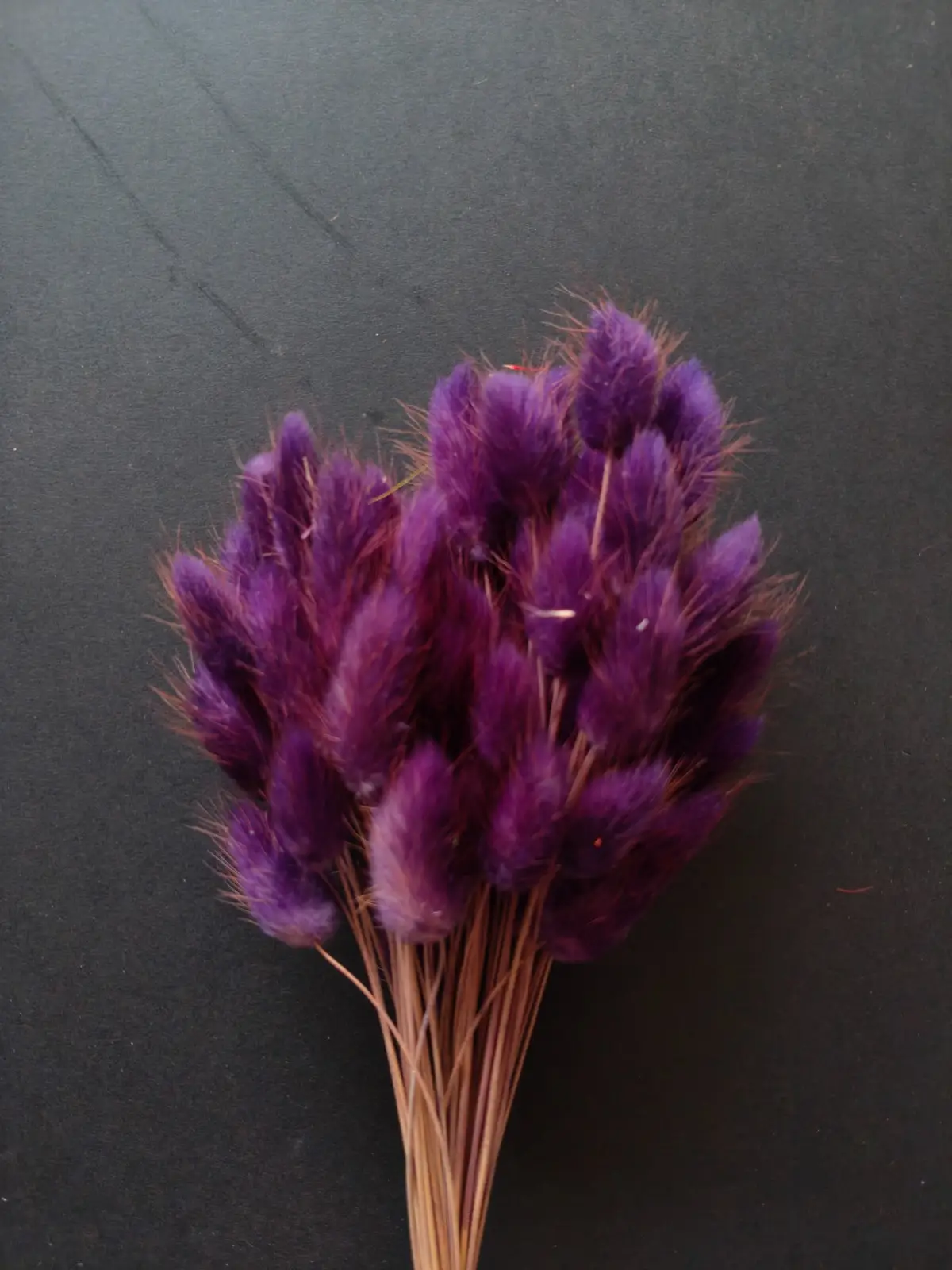 Bunny Tails (10pcs Pack)