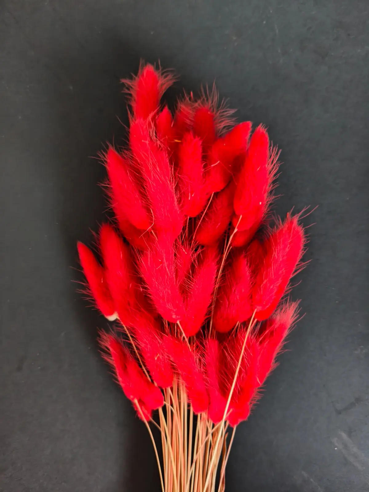 Bunny Tails (10pcs Pack)