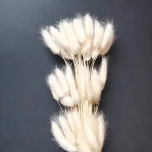 Bunny Tails (10pcs Pack)