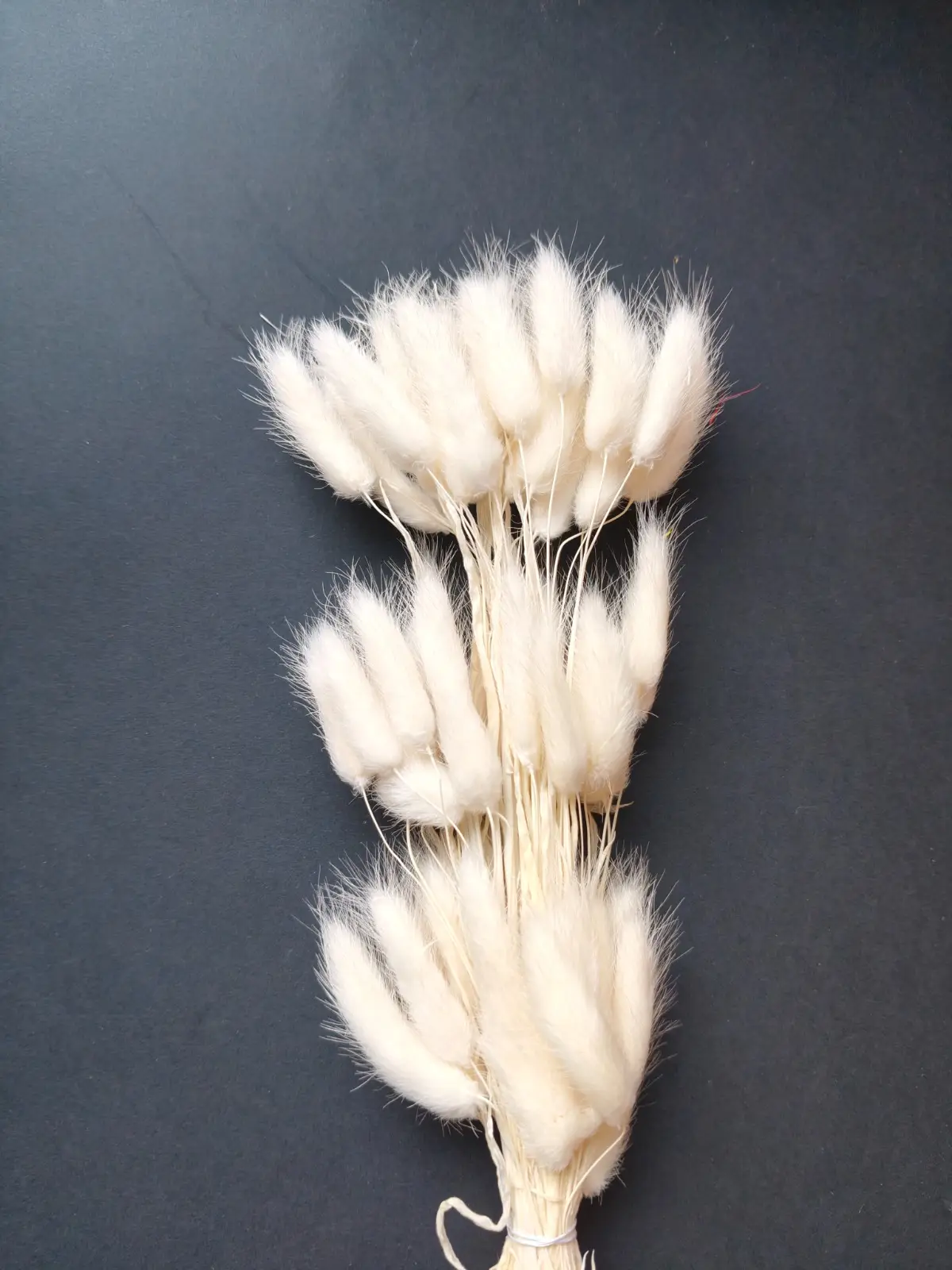Bunny Tails (10pcs Pack)