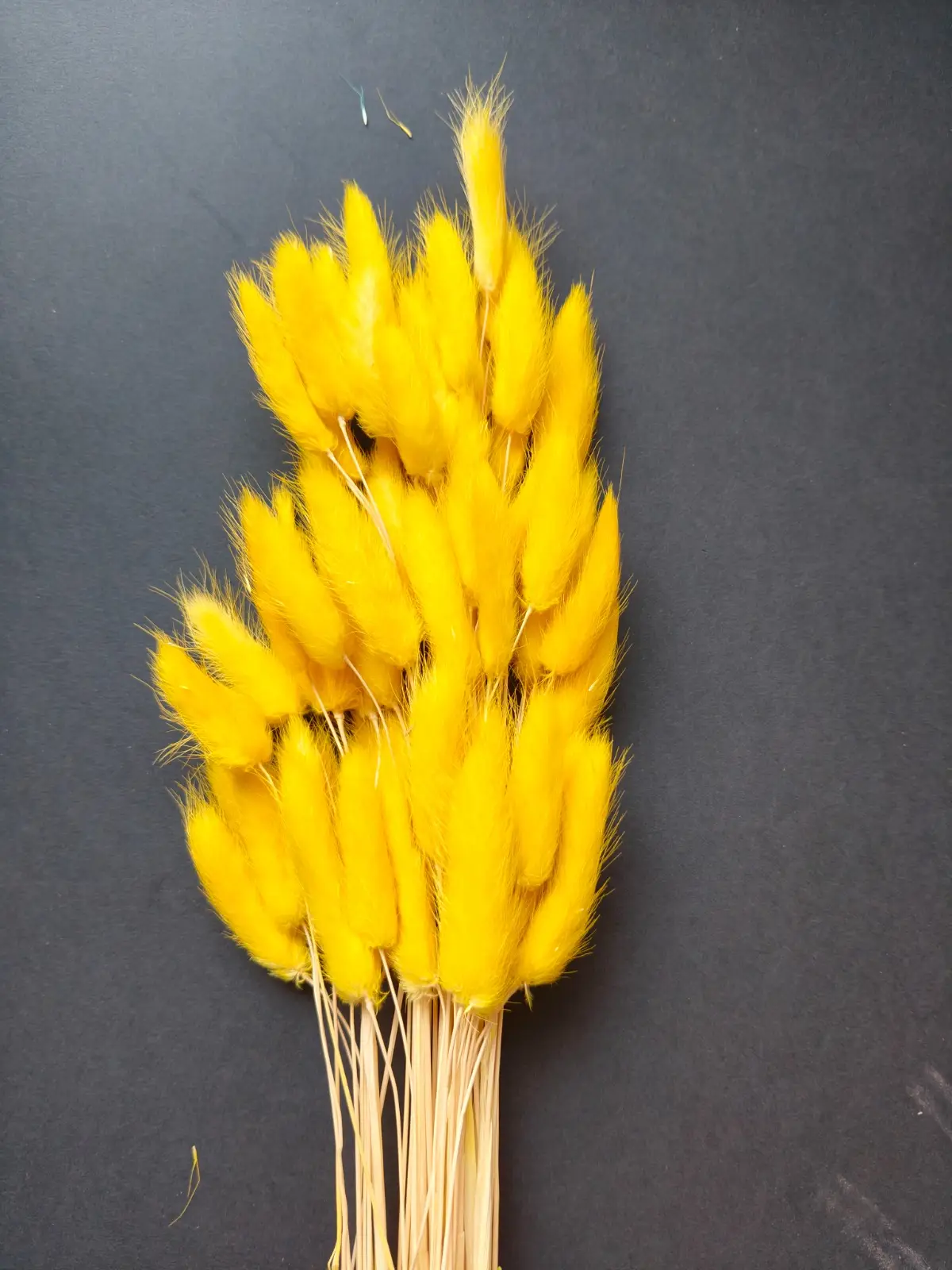 Bunny Tails (10pcs Pack)